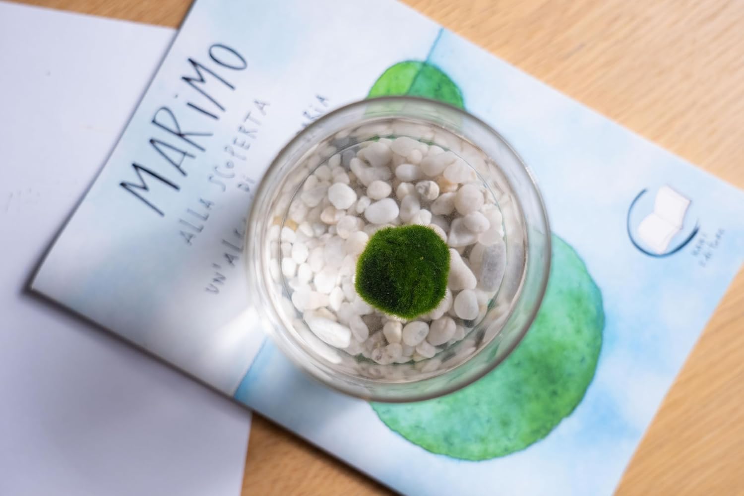 Confezione regalo ecologica e artigianale per il Marimo Kaki La Felicità è nelle Piccole Cose.