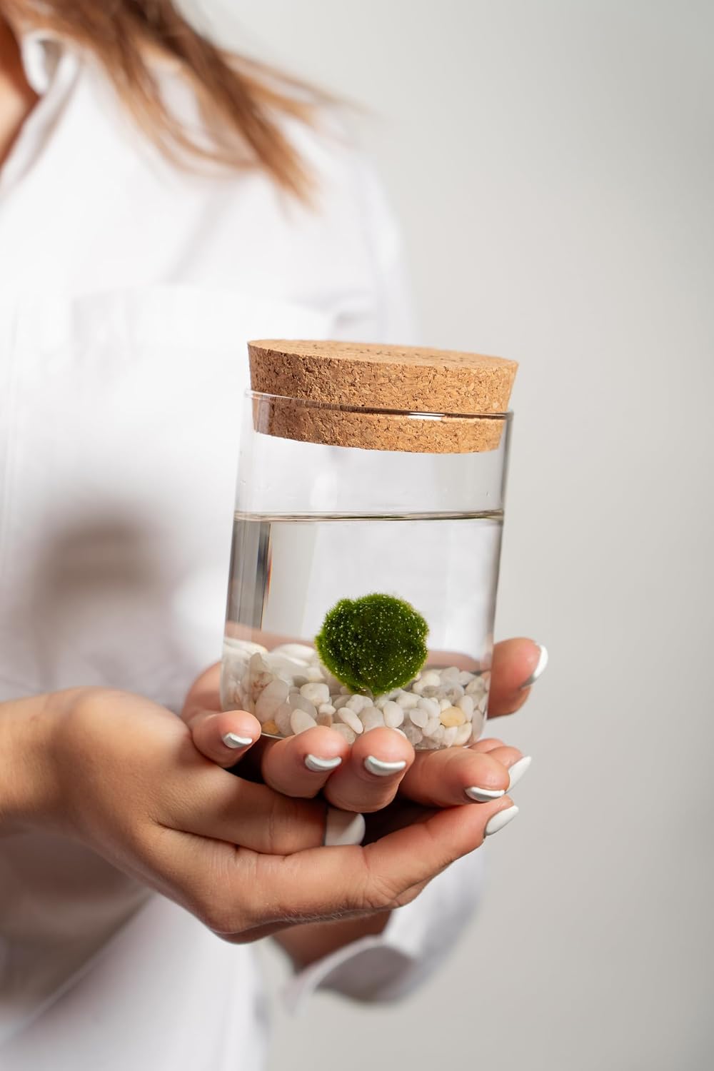 Tappo in sughero artigianale con incisione Kaki Felicità sul vaso in vetro del Marimo.